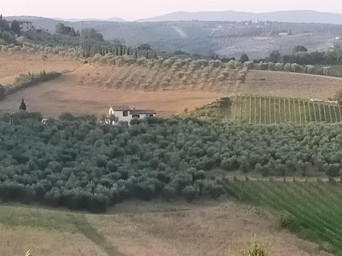 Villa Degli Olivi Nature 시에나 외부 사진