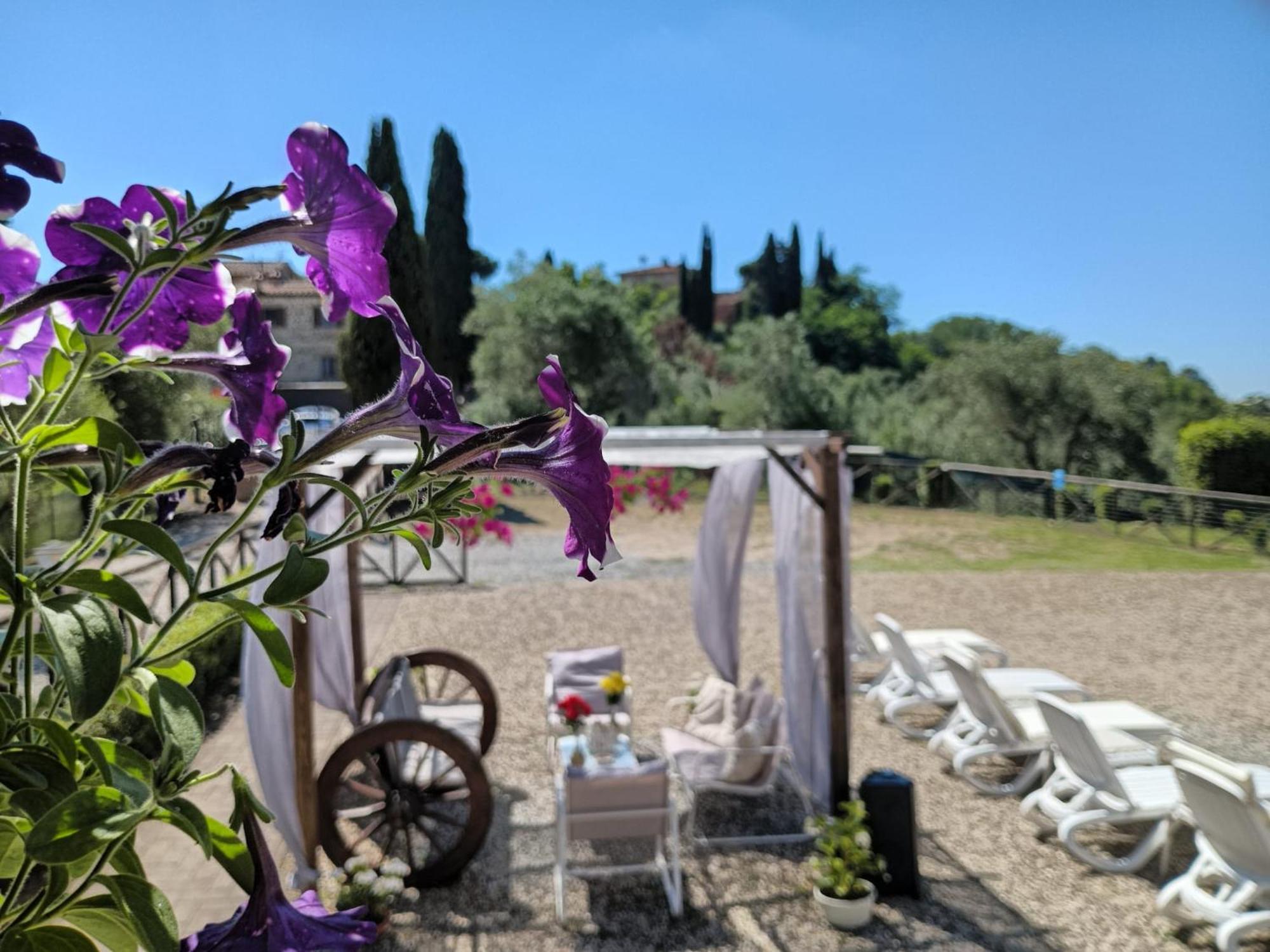 Villa Degli Olivi Nature 시에나 외부 사진