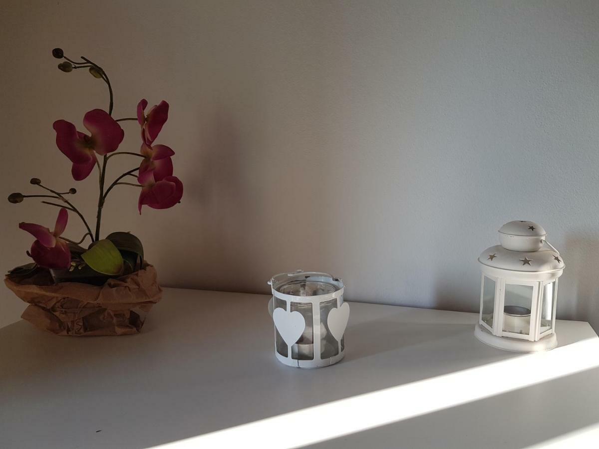Villa Degli Olivi Nature 시에나 외부 사진
